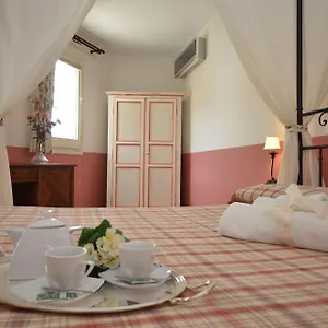 Catarin Comfort Castelluzzo
